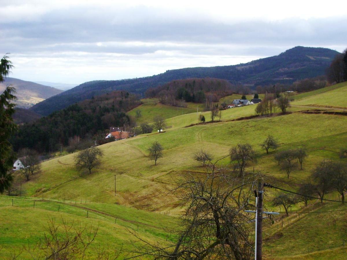 Hebergement Du Chene Fréland Zewnętrze zdjęcie